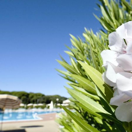 Isa-Apartments 4 Beds In Residence With Swimming-Pool In San Vincenzo, Just 600 Meters From The Sea Exteriér fotografie