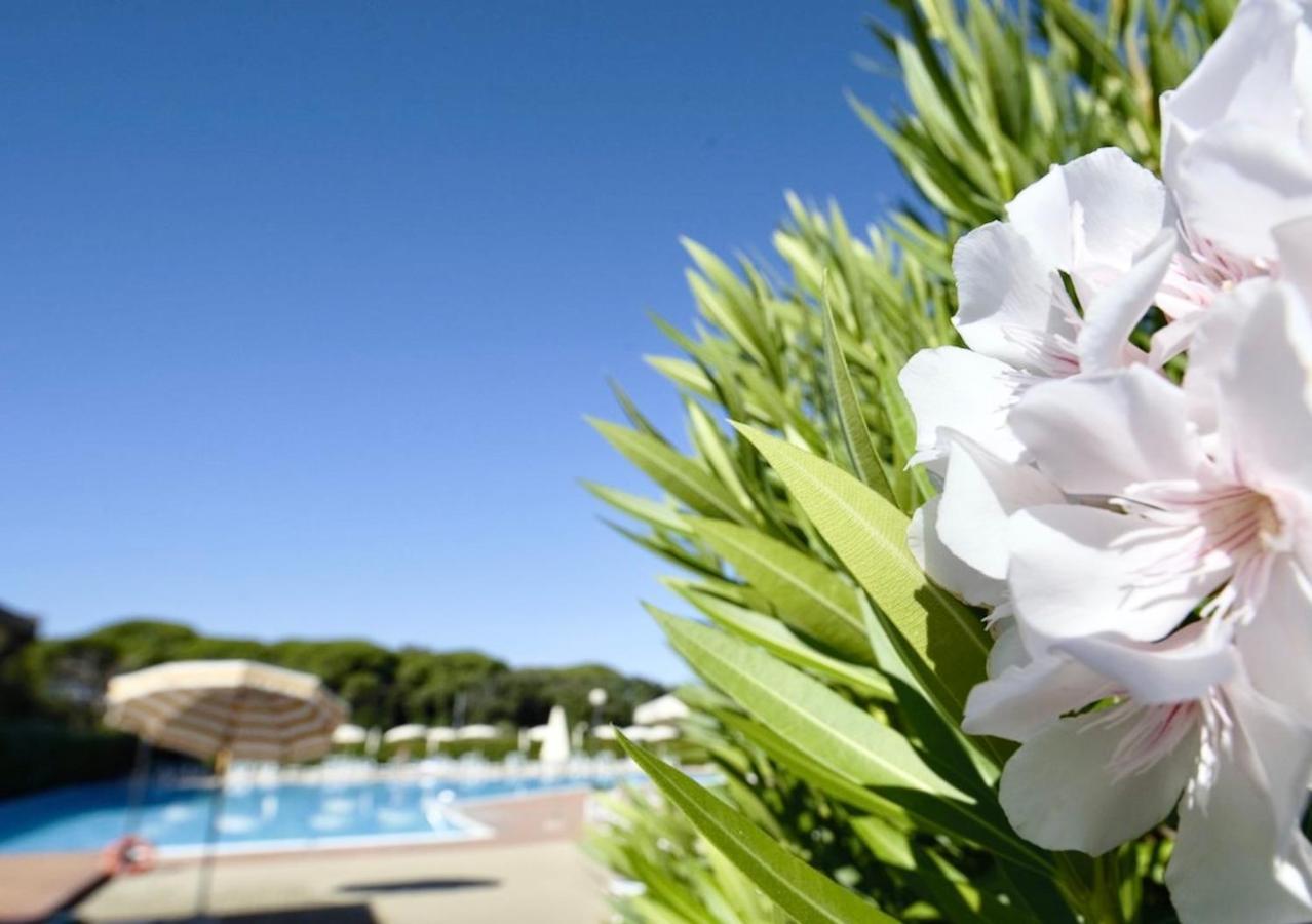 Isa-Apartments 4 Beds In Residence With Swimming-Pool In San Vincenzo, Just 600 Meters From The Sea Exteriér fotografie